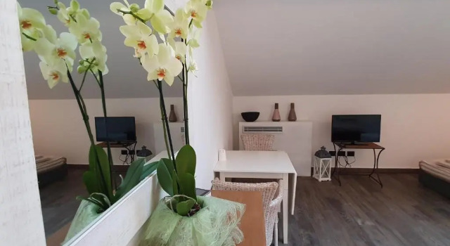 Двухместный семейный номер Standard Agriturismo Podere Nigriano