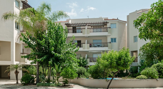 Artemis Cynthia Complex