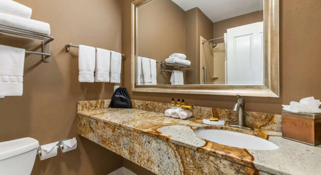 Двухместный полулюкс Best Western Plus Lytle Inn and Suites