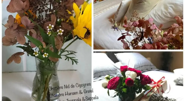 Standard Doppel Zimmer mit Gartenblick Le Nid de Cigognes