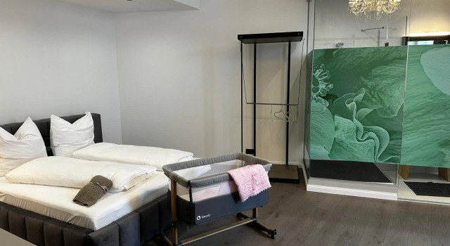 Luxury City Apartment Downtown Vienna, Забронировать Апартаменты/квартира Апартаменты Вены, рядом с Volkstheater, Апартаменты/квартира