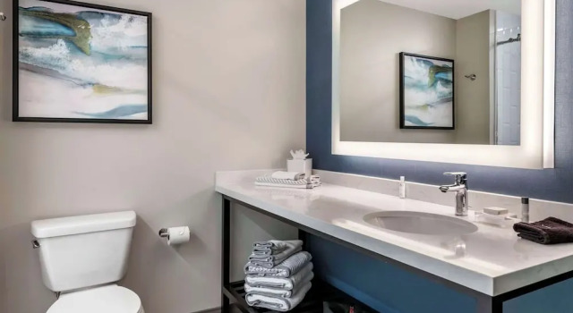 Номер Standard Cambria Hotel Orlando Airport