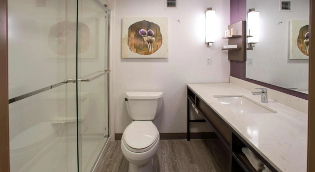 Двухместный номер Standard Hilton Garden Inn Rapid City