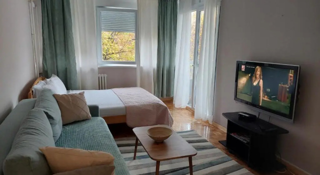 Студия Deluxe Green apartment