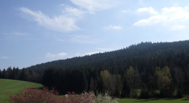 Номер Premium Landhotel GrünWies -Bonsai-Wellness Garni