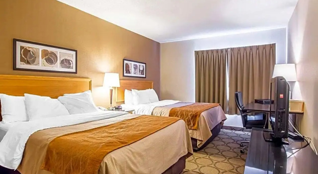 Четырёхместный номер Standard Comfort Inn Alma - Lac-Saint-Jean