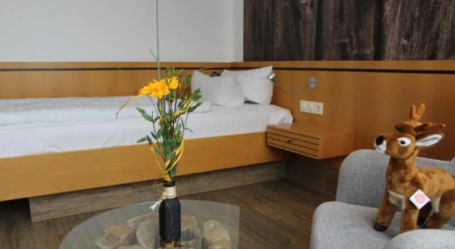 Camera Superior Hotel Rennsteig