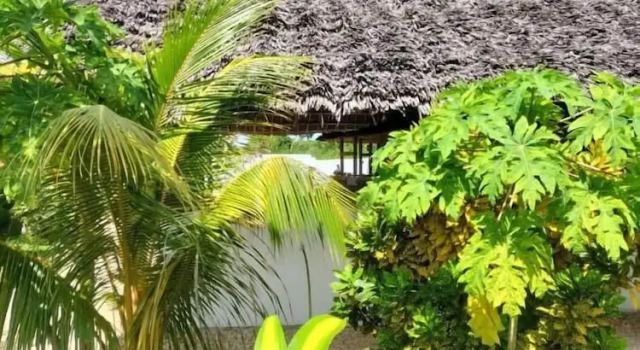Kendwa Rasta Style Bun, Prenota Bed & breakfast Kendwa 