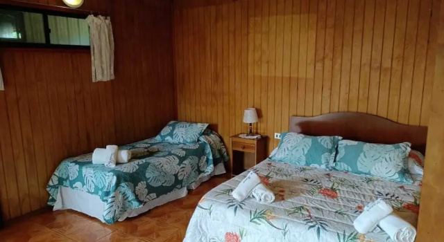 Номер Standard Hare Vaikapua