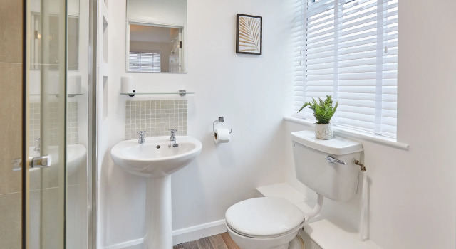 Host   Stay   The Auckland