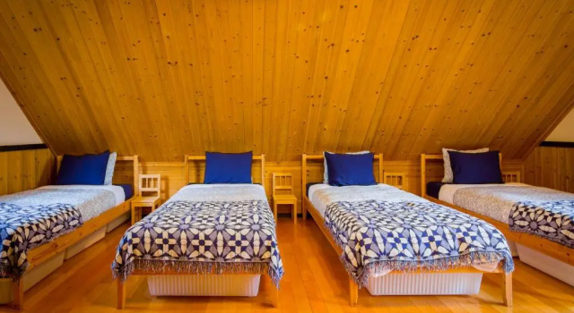 Шале с 2 комнатами Hakuba Powder Cottage