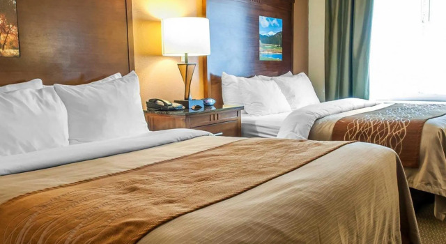 Четырёхместный номер Standard Comfort Inn & Suites Midtown