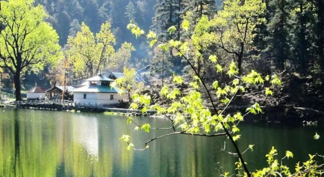 Kuflon Basics, Rezervovat Hotel Hotely v Uttarakhand s parkováním, Parkování