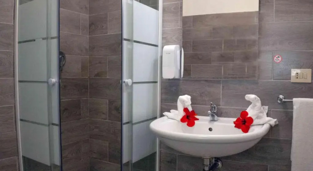 Номер Standard Hotel LOleandro