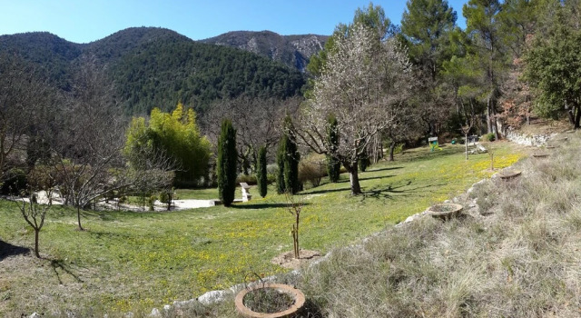 Luberon's Hidden Gem