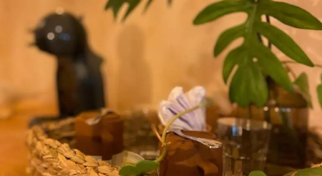 Номер Deluxe Hotel Pousada Rancho das Dunas