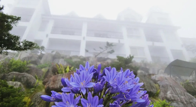 Senlove B&B, Prenota Bed & breakfast Hotel a Nantou County con parcheggio, Parcheggio