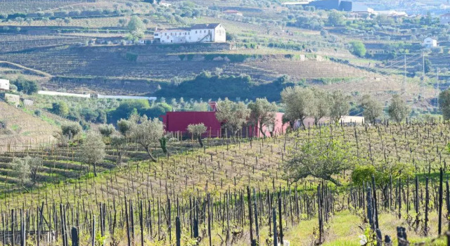 Люкс с видом на бассейн Quinta dos Padrinhos - Suites in the Heart of the Douro