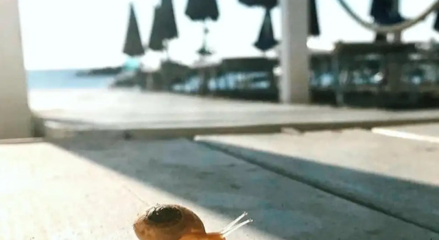 Hotel Tokio Home-Tokio Beach dependence
