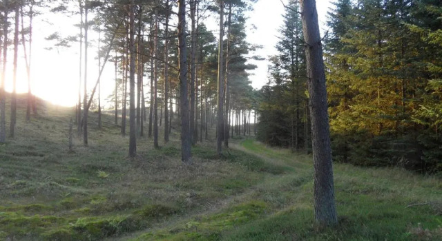 Standard Single room Tvillinggaard Thy