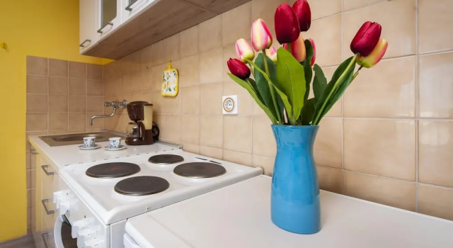 Апартаменты c 1 комнатой Apartments Adria