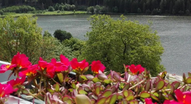 Appartamento Dossalt Vista Lago, Забронировать Апартаменты/квартира Апартаменты Базельга-ди-Пине, Апартаменты/квартира