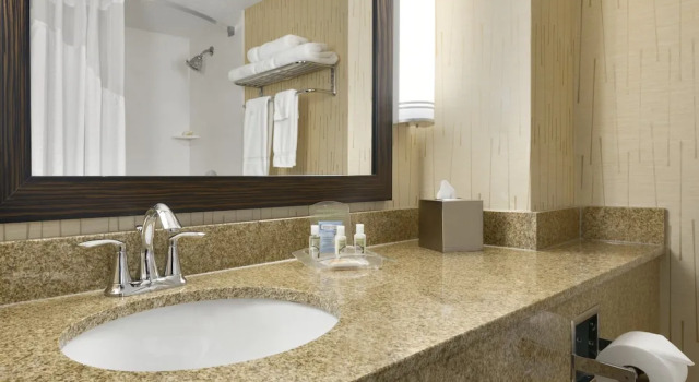 Двухместный номер Premium с видом на город Holiday Inn & Suites Duluth-Downtown by IHG