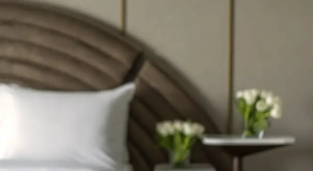 Двухместный люкс Bosphorus The Artisan Hotel Istanbul - MGallery Collection