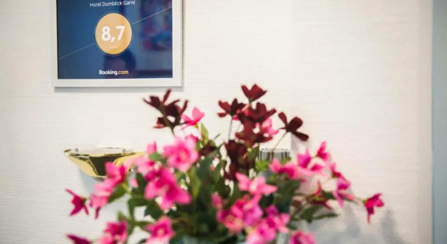 Номер Standard Hotel Domblick Garni