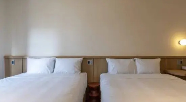 Standard- værelse DP Hotel
