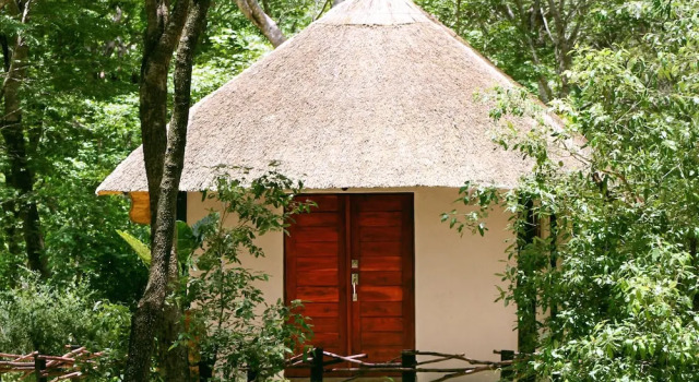 Chalet Gwango Elephant Lodge