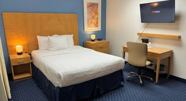 Номер Standard Ficus Hotel