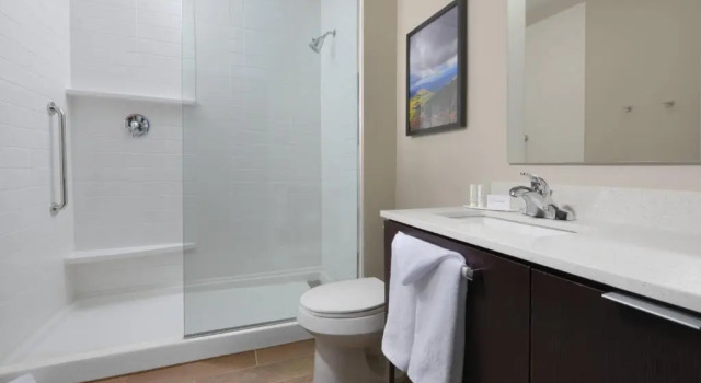 Четырёхместный номер Standard TownePlace Suites by Marriott Denver South/Lone Tree