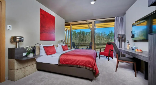Двухместный номер Standard Der Birkenhof Spa & Genuss Resort