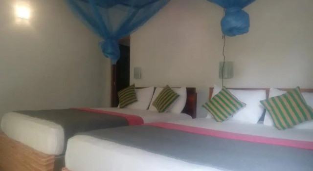 Yoho Summer Villa