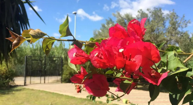 Коттедж Casa del Mirto Bianco