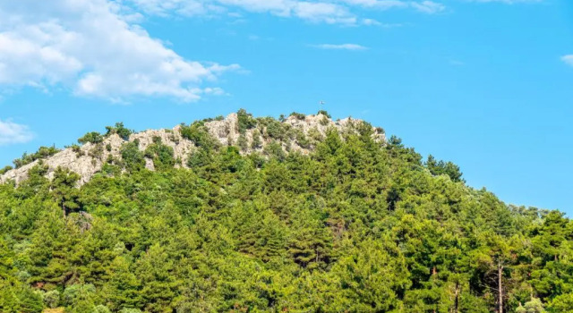 Номер Economy Hotel Lido Thassos