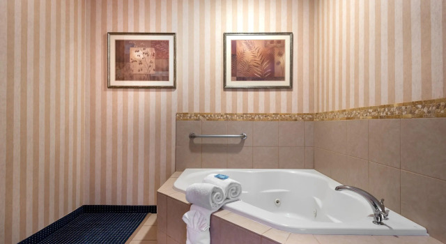 Двухместный люкс Holiday Inn Express & Suites Lathrop by IHG