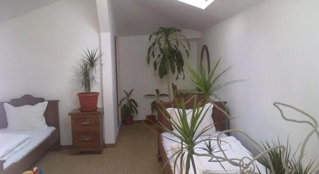 Четырёхместный номер Standard Guest House Todorini kashti