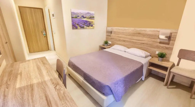 Одноместный номер Standard Sofia Hotel