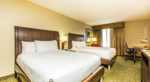 Четырёхместный номер Standard Hilton Garden Inn St. George