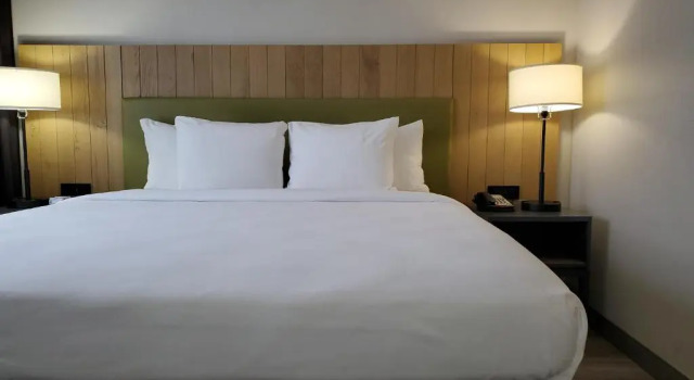 Двухместный люкс c 1 комнатой Country Inn & Suites by Radisson, Buford at Mall of Georgia, GA