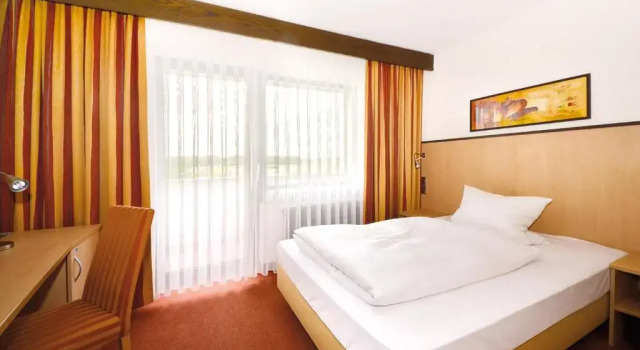 Одноместный номер Standard Seligweiler Hotel & Restaurant