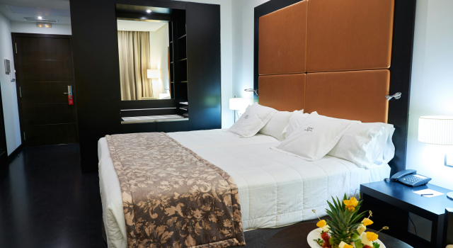 Отель Gran Hotel Don Manuel
