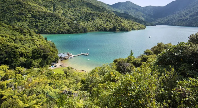 Suite Punga Cove Resort