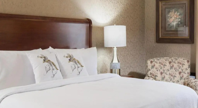 Одноместный номер Superior Grand Gateway Hotel