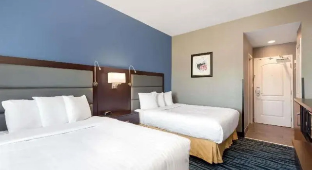 Номер Business Hotel 1550