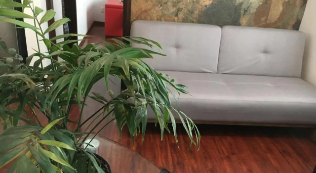 Апартаменты с 2 комнатами Casa Molcajete