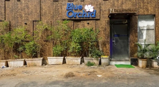 Hotel Blue Orchid