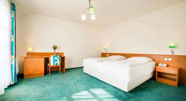Двухместный люкс c 1 комнатой Hotel Dvorak